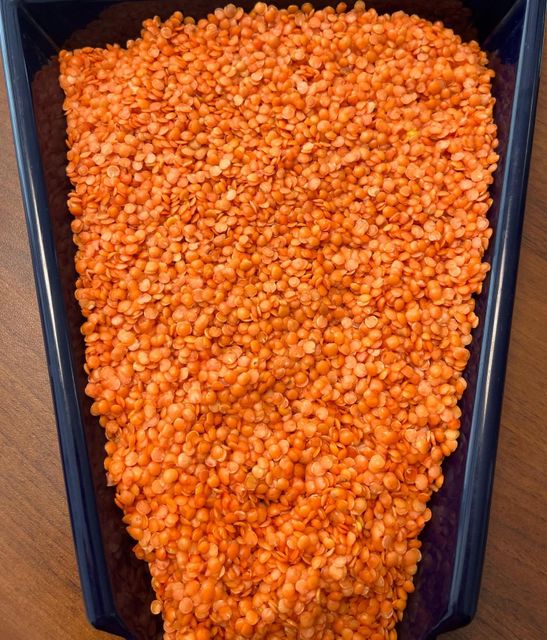 Red split lentil (Masoor dal) Grade A grade Flavor Mild, Earthy Color Bright Orange-red Packaging 25-50 kg bages Cooking Time Less Than 20 Minutes - Image 2