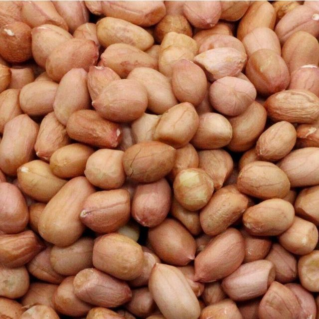 Peanuts Premium Harvest Selection Delivering Strong Kernel Quality For Import Export And Wholesale - Image 4