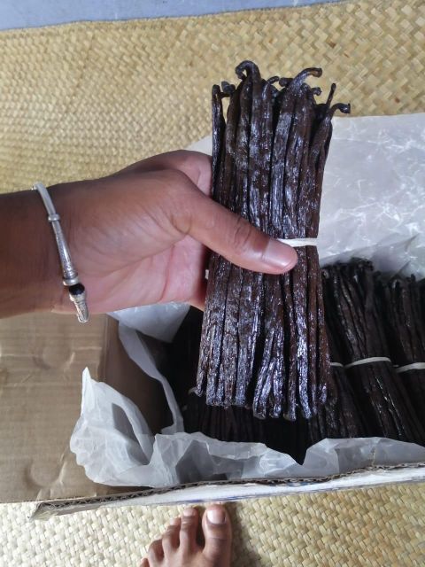 VANILLA BEANS – product photo 3, product detail gallery
