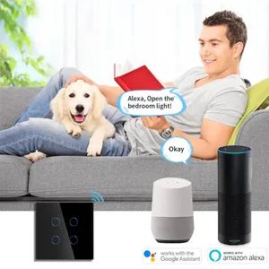 Bingoelec European Alexa Control 600W WiFi Smart Touch Wall LED Light Home Tuya Smart Switch - Image 5