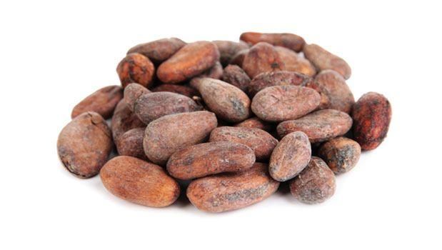 DRY COCOA BEANS - Image 1