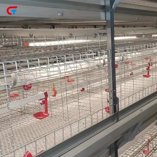 Factory Price H Type Layered Chicken Farm Automatic Poultry Cages - Image 2