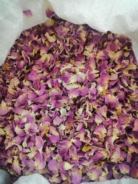 Asafoetda, Tragacanth, Anzaroot, Gum Resin Origin Asia, Iran Features gum resin Product Type Mastic, Spices, Seasonings & Flavors - Image 1