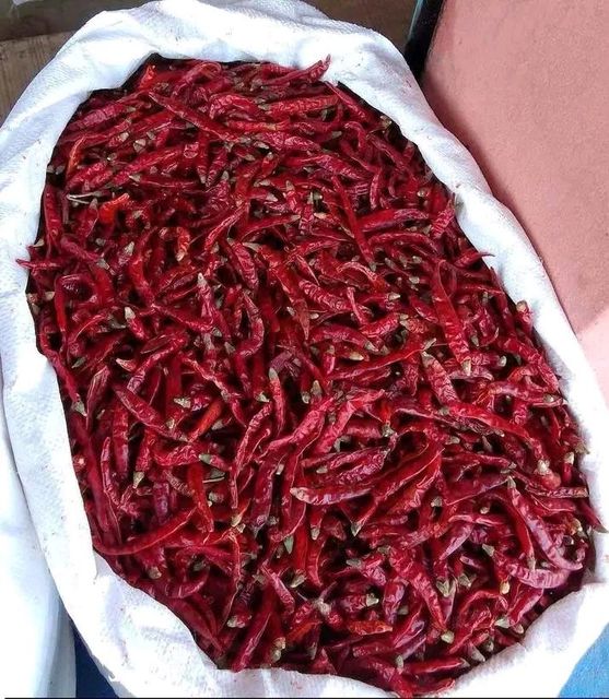 Dry Red Chilli - Image 3