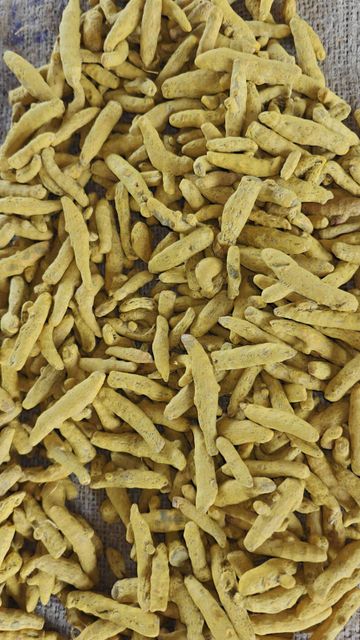 Premium Indian Turmeric Fingers (Nizamabad & Selam) | Whole Dried | High Curcumin | Double Polished | Bulk Export Quality - Image 4