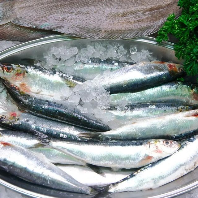 Best Selling Frozen Mackerel Fish Whole or Gutted Premium Quality Fresh Hot Sale Bulk Supply - Image 3