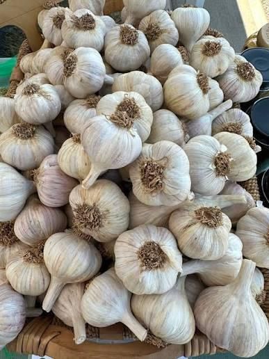 Onions,fresh ginger,fresh garlic - Image 4