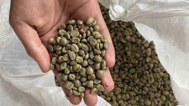 Arabica / Robusta Green Coffee Beans – Full Washed Process Defect Rate <5% Screen Size 16–18 Moisture Content 11% - 12% Origin Dampit, Kawi, - Image 3