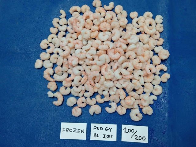FROZEN PUD SHRIMPS - Image 5