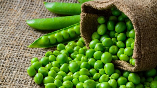Pigeon Peas Food Grade 100% Natural Brazilian Fresh Bulk Storage Packaging - Image 2