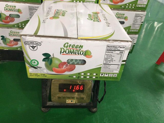 Fresh Green Pomelo Grapefruit Green skin pomelo class 1 Pink Flesh Citrus fruit Vietnam Healthy Nutritious Whatsap 0084989322607 - Image 6