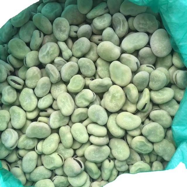 Wholesale IQF Frozen Peeled Broad Beans Grade A - Image 1