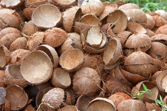 Coconut Shells for Charcoal Production Export Standard Stable Supply Natural Raw Material Agriculture Use - Image 1