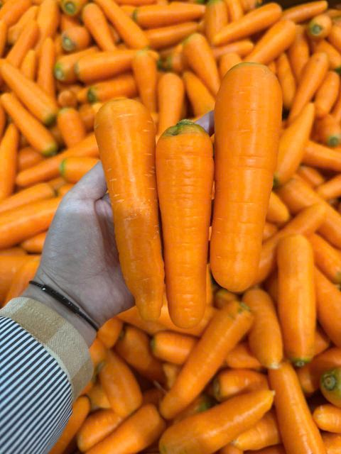 Premium Fresh Carrots – Naturally Sweet & Crunchy - Image 1