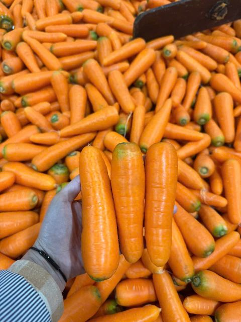 Premium Fresh Carrots – Naturally Sweet & Crunchy - Image 2