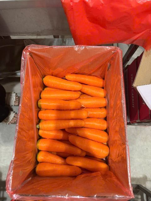 Premium Fresh Carrots – Naturally Sweet & Crunchy - Image 3