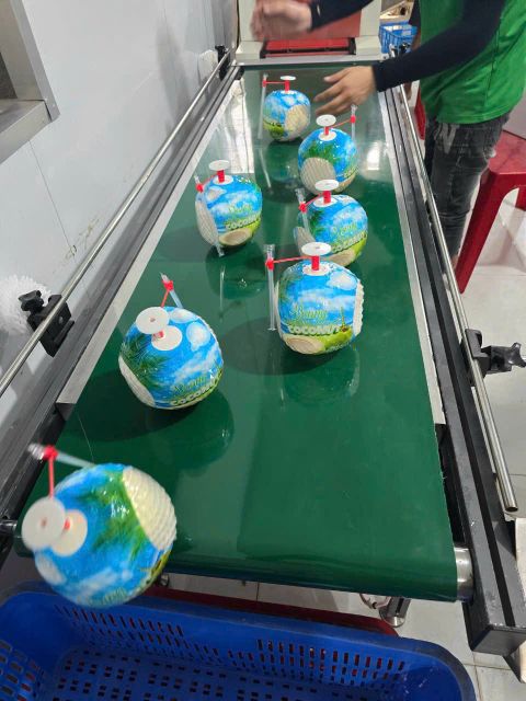 Tropical Fresh Coconut – Premium Natural Drink with Exotic Design - Image 5