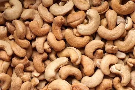 PREMIUM CASHEW KERNELS (AFI STANDARD) | CIF DAR ES SALAAM Foreign Matter & Defects 0% Tolerance W450 (Small Whole) 880 – 990 kernels/kg - Image 3