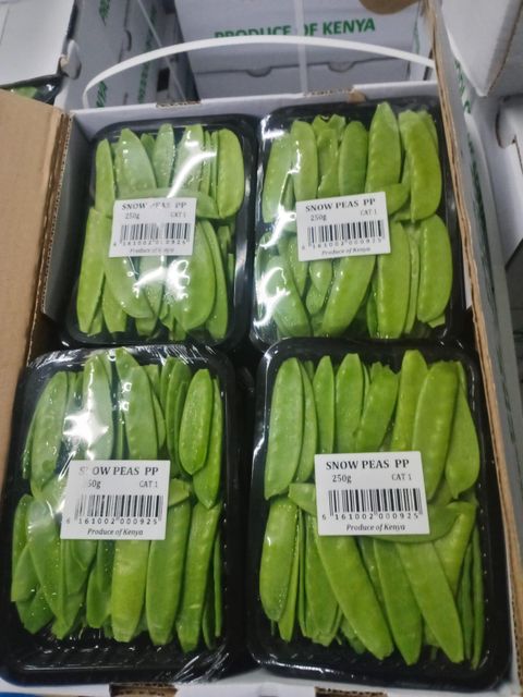 Snow pease Origin kenya Packaging Size > 3 kg - 5 kg - Image 4