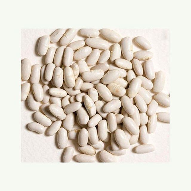 premium white beans for cooking soups stews salads and healthy recipes natural whole white beans rich in plant protein fiber iron and essential nutrients perfect for vegetarian vegan meals home kitchens restaurants and balanced diets - Image 2