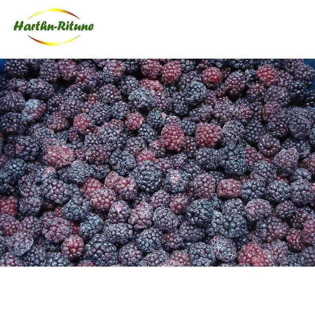 Good price Bulk IQF berries frozen blackberry fruits Content no Address no Style FROZEN Weight (kg) 10 Ingredients no Taste - Image 6