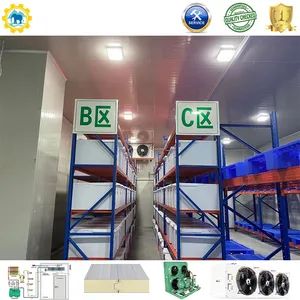 Customizable Freezer Cold Room with 75mm Panel Thickness and Storage - Image 4