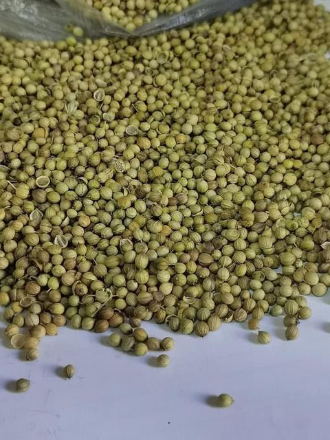 Coriander powder - Image 1