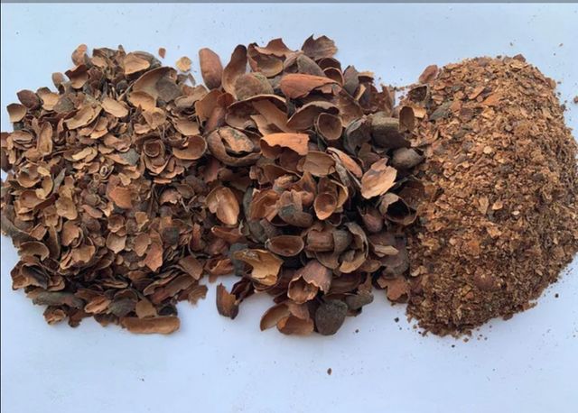 Cocoa Shells - Image 1