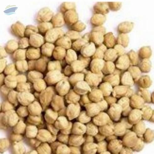 Chickpea - Image 1