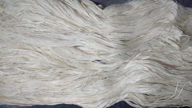 Pineapple Fiber - Image 4