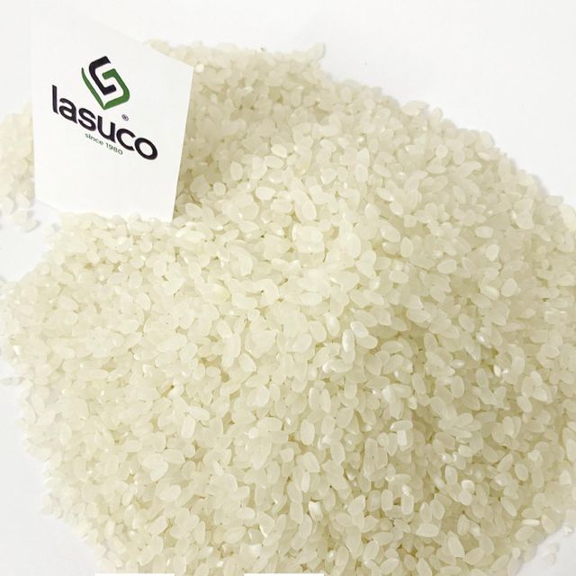 High Quality Japonica Rice Well Milled Double Polished And Sortexed Package 25kg PP Bag Vietnam OEM - Image 1
