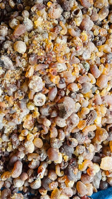 Sokoto gum  - Image 1