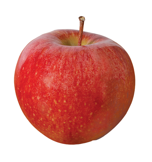 High Quality Organic Red Fuji Apples Freshly Harvested Top Grade Selection For Wholesale Buyers Export Markets - Image 5