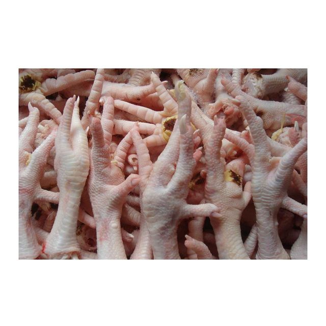 Cheap Wholesale Top Quality Halal Frozen Chicken Feet | Frozen Chicken Paws In Bulk - Image 1