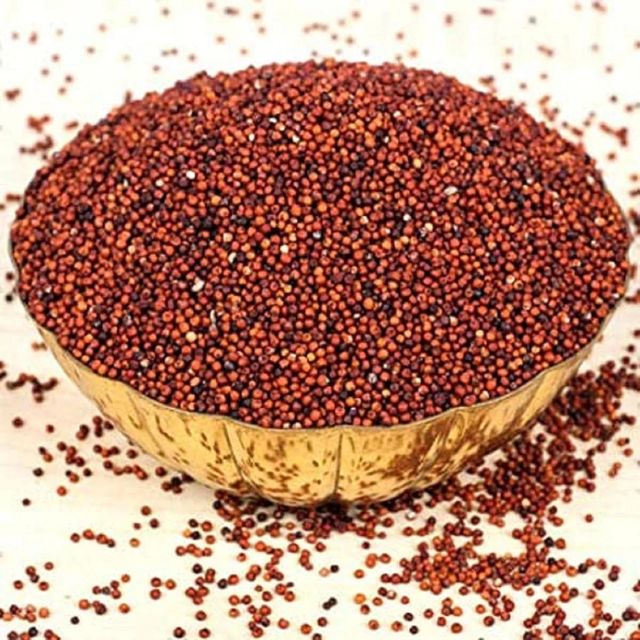 Efficient finger millet bulk order natural ragi fast delivery - Image 4
