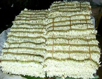 Udupi Mallige Jasmine (Jasminum sambac) – GI Tagged Premium Export-Grade Fresh Buds | APEDA Registered Exporter | Cold-Chain Maintained for Global Markets - Image 5