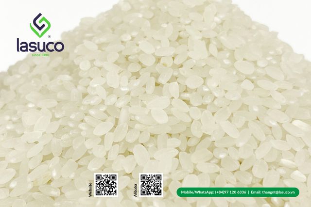 Hot Sale Japonica Rice For Cooking Making Sushi 25kg PP Bag Natural Aroma OEM Vietnam - Image 2