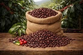 ARABICA COFFEE BEANS Organic Yes Grade A, Aa, Aa+ Size 20, 18 & 16 Decaffeinated Yes Maximum Moisture 13% Purity 99.5% m - Image 2