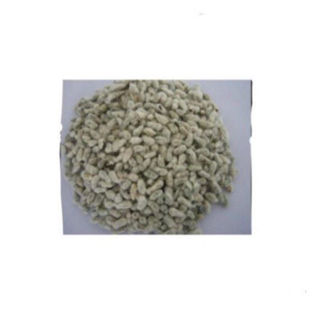 Cotton Seeds bulk supply wholesale deals fast delivery high-quality stock available - Image 2