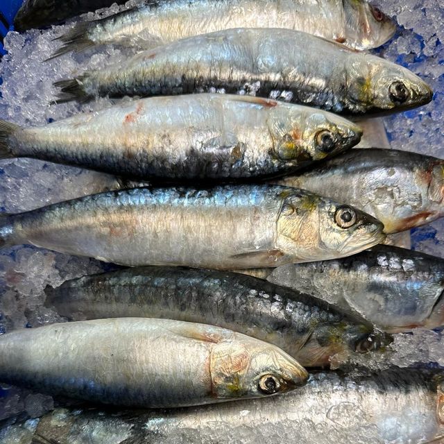 Frozen Sardine Fish High Freshness Preservation With Advanced Freezing Process For Importers And Distributors - Image 3