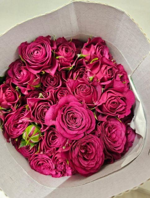 Premium roses Petals Lush Petals Grade Export grade Stem Strength Strong Stems Handling Cold Chain Handling Origin Fertile Highland Farms - Image 4
