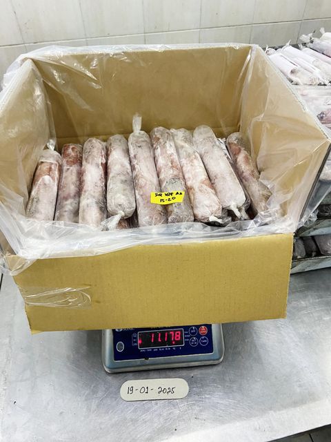 Squid Loligo IQF, IWP Type Frozen Grade Premium Shape Whole Round Processing Type IQF Content 100% Net Weight Place of Origin - Image 2
