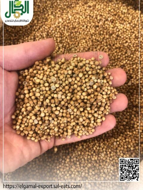 Coriander Delivery Form Bag Form Chopped, Ground Freshness Level Dried Features Fair Trade, No Preservatives, Without Additives, Without Colourants, Without Flavor Enhancers - Image 4