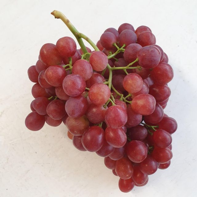 Best Quality Starlight Seedless Grapes for sale!! Class 1 Export Quality Red Seedless Grapes from South Africa – product photo 3, product detail gallery