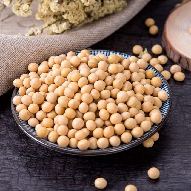 Premium Soybean Seed High Yield Soybean Seed With Exceptional Growth And Germination Rate For Reliable Harvests - Image 2