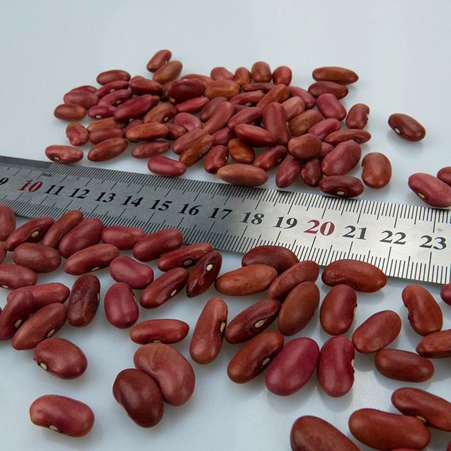Chinese Raw Red Fagioli Rossi Red Kidney Beans Wholesale Price - Image 2