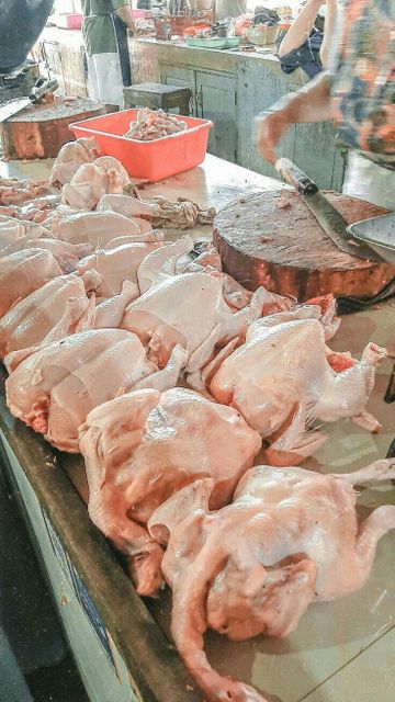 Halal Whole Frozen Chicken 1.200 kg Frozen Poultry Export 100% Premium Quality - Image 5