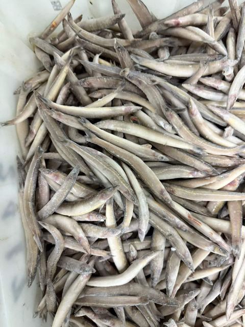 Frozen Seafood（crab、squid、fish） - Image 4