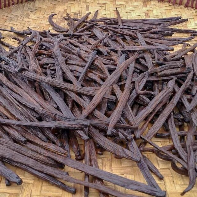 Organic Dried Vanilla Beans wholesale supplier and exporter - Image 1