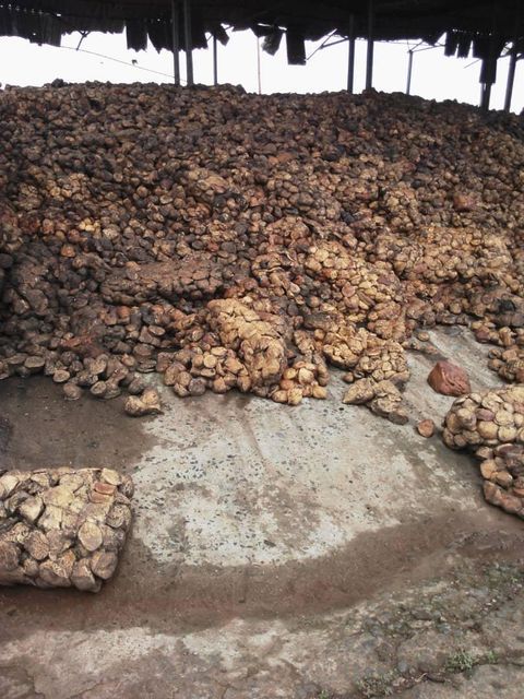 Natural  Rubber in forms of Cup lumps Purity 98% Form Cup Lumps Harvest Year 2025 Foreign Matter None Dry Rubber Content 65-70% - Image 4
